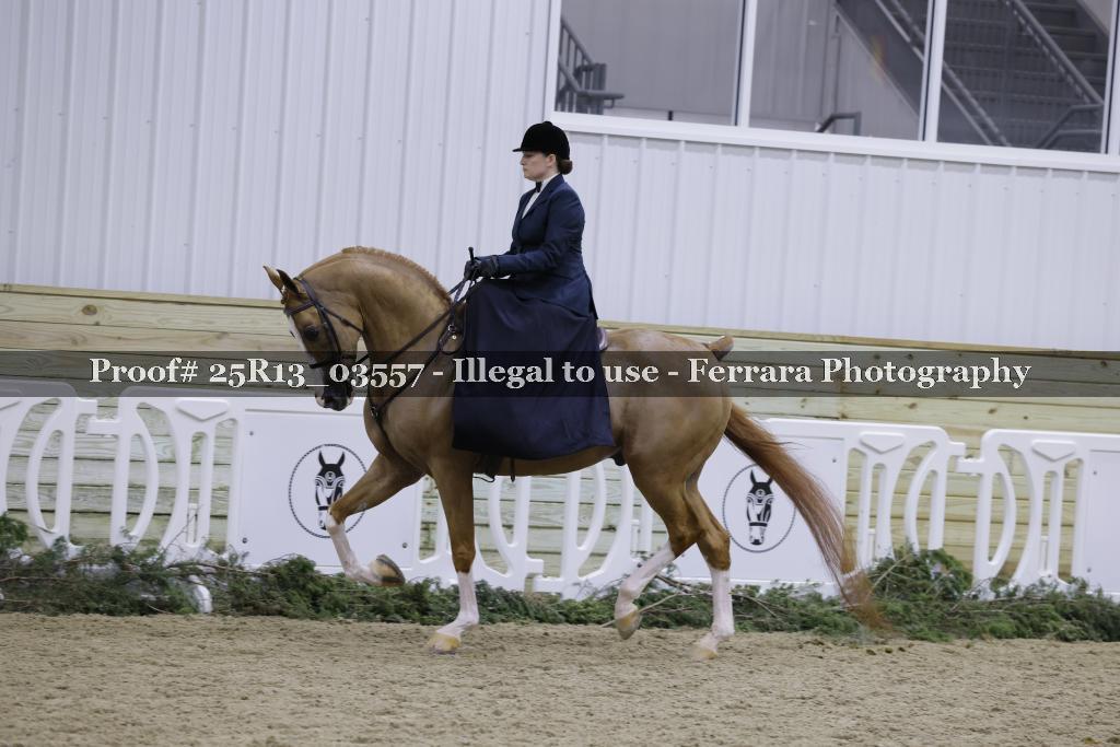 Proof Number 25R13_03557