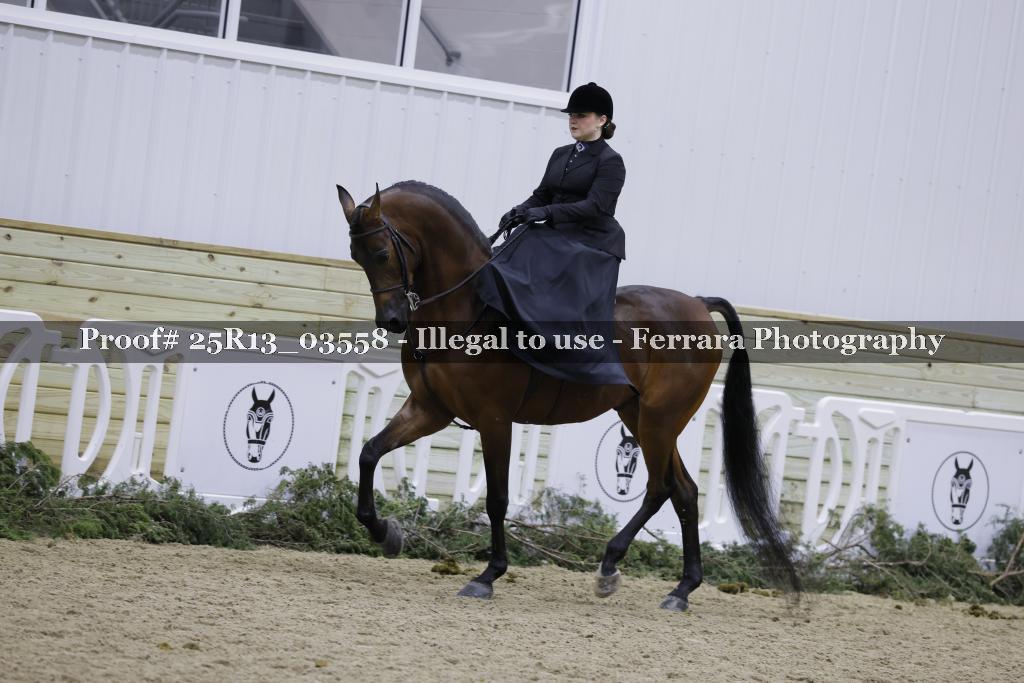 Proof Number 25R13_03558