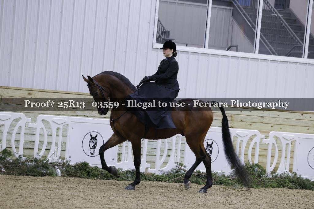 Proof Number 25R13_03559