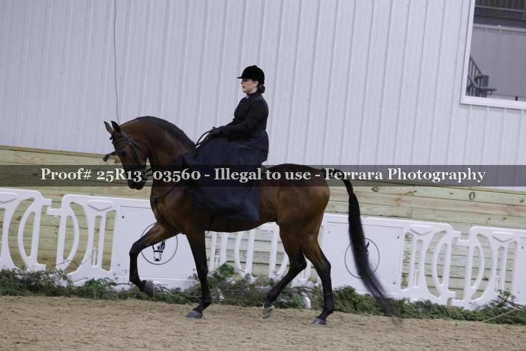 Proof Number 25R13_03560