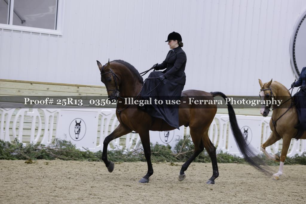 Proof Number 25R13_03562