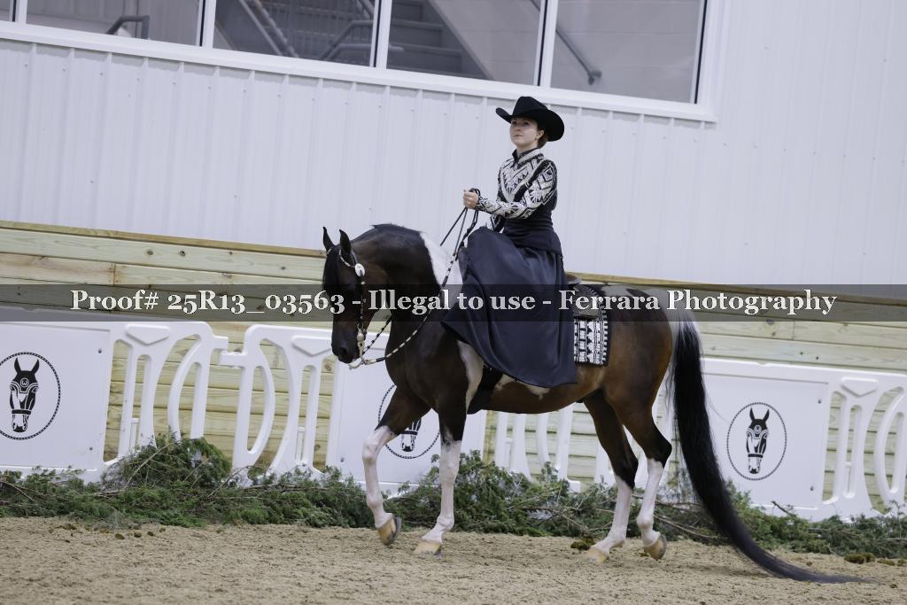 Proof Number 25R13_03563