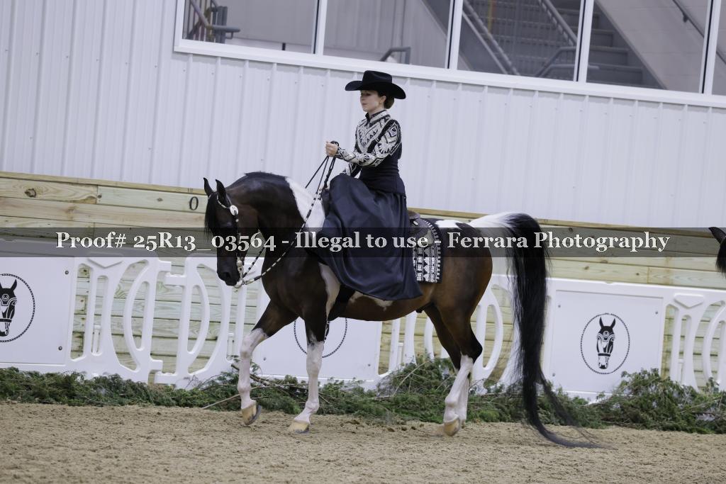 Proof Number 25R13_03564