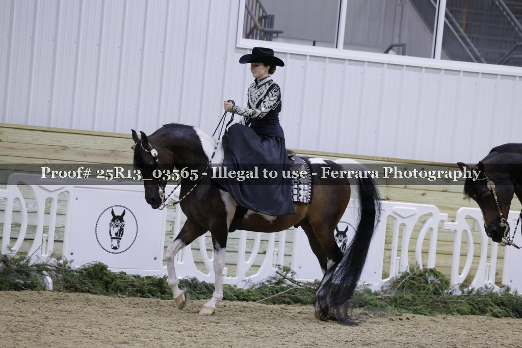 Proof Number 25R13_03565