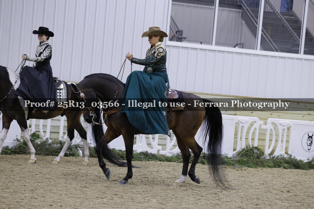 Proof Number 25R13_03566