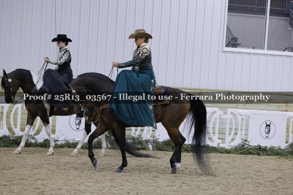 Proof Number 25R13_03567