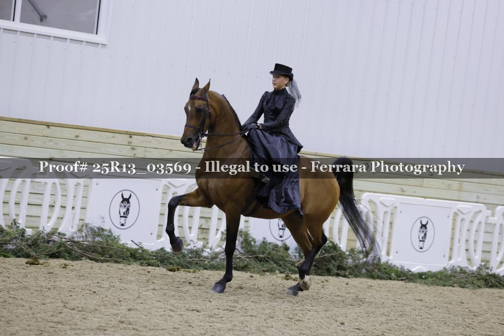 Proof Number 25R13_03569