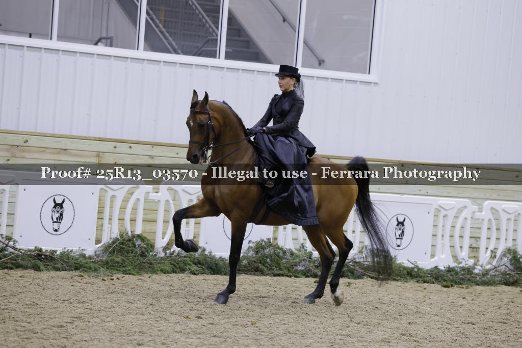 Proof Number 25R13_03570