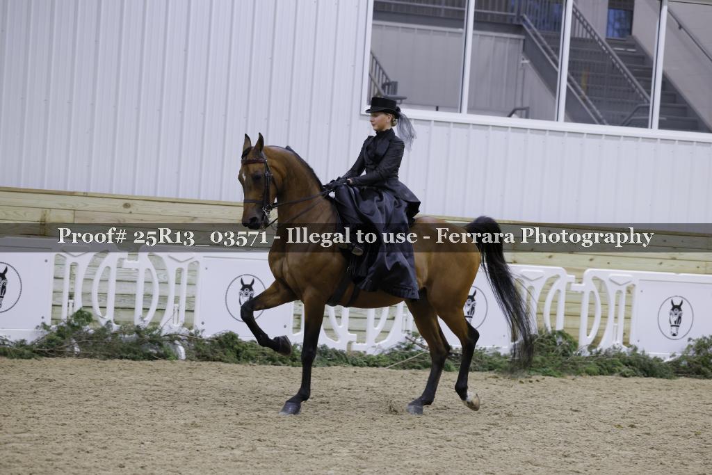 Proof Number 25R13_03571