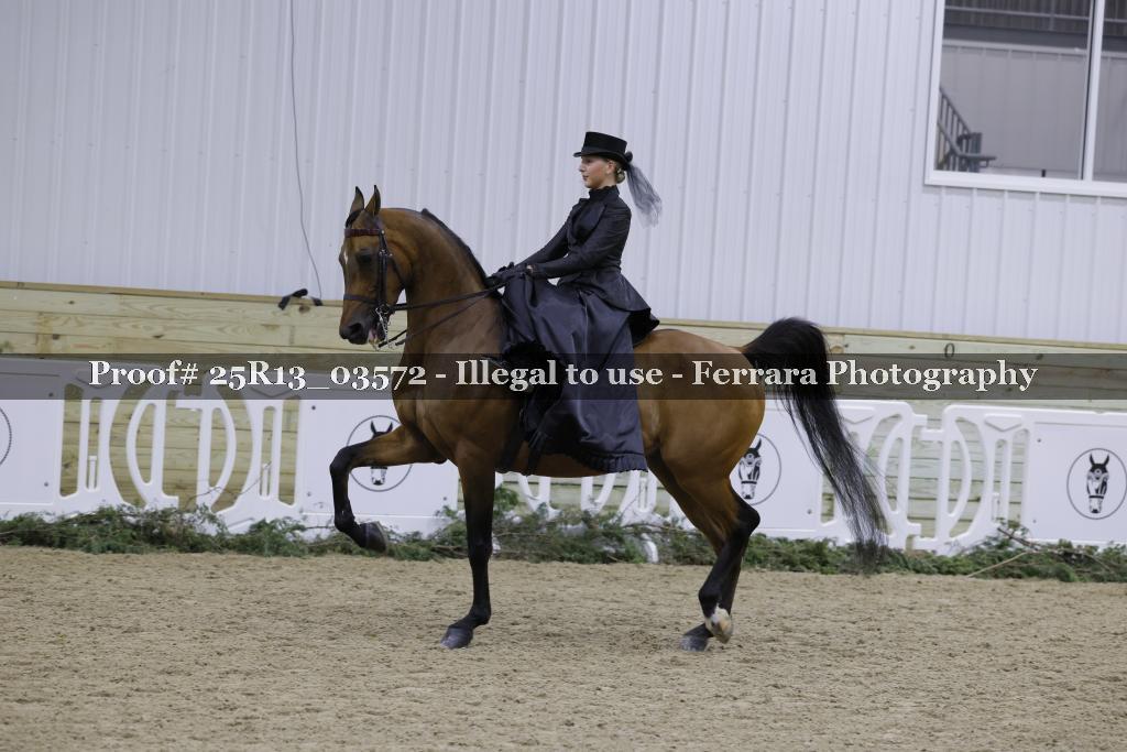 Proof Number 25R13_03572