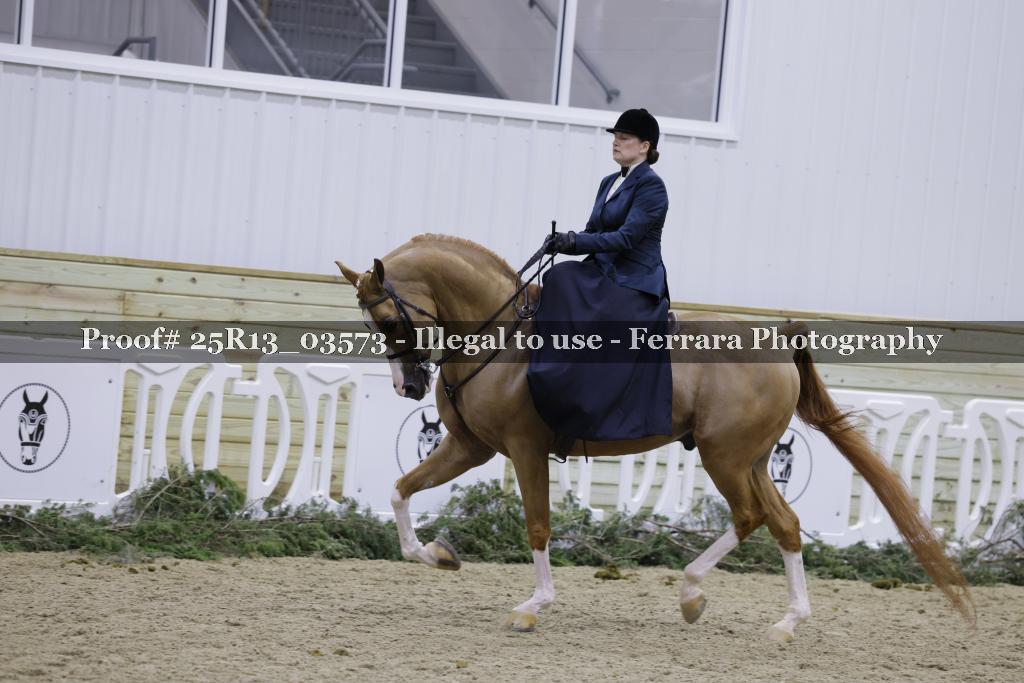 Proof Number 25R13_03573