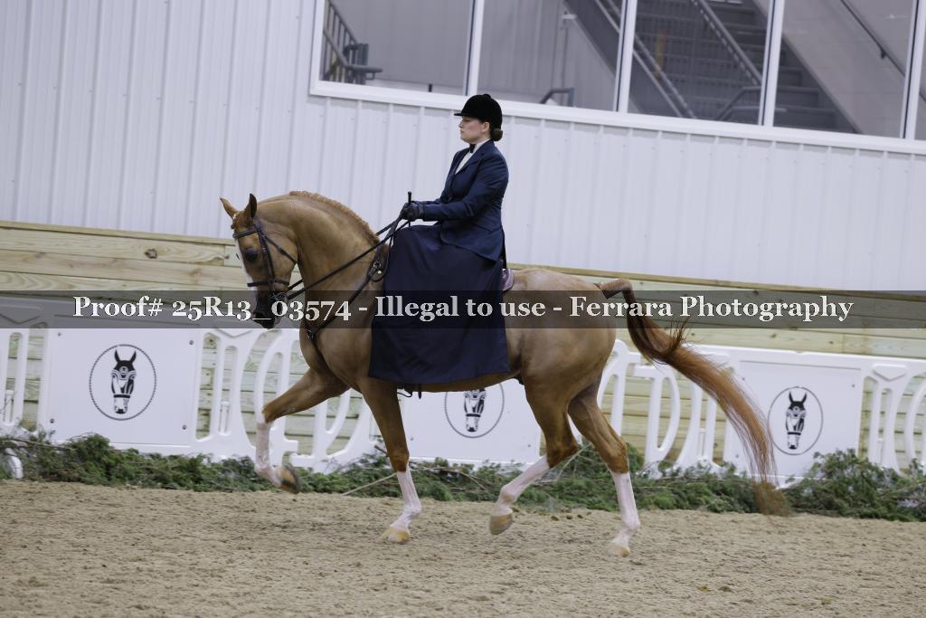 Proof Number 25R13_03574