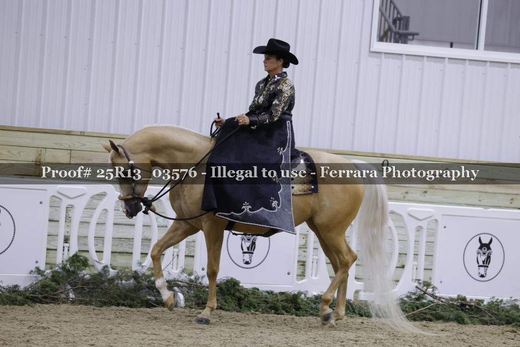 Proof Number 25R13_03576