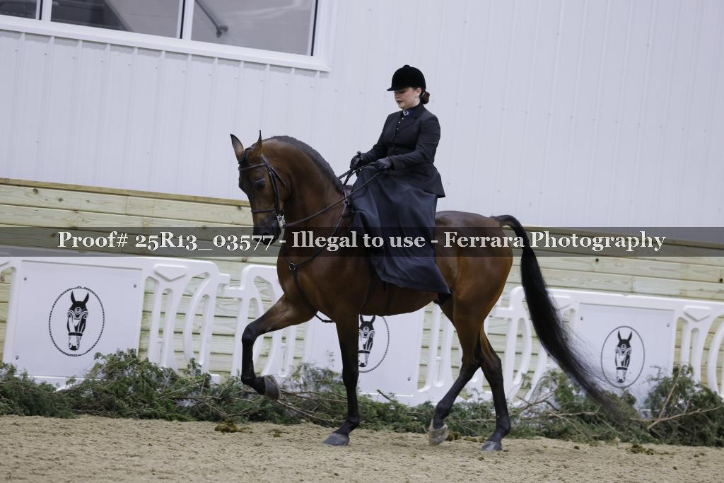 Proof Number 25R13_03577