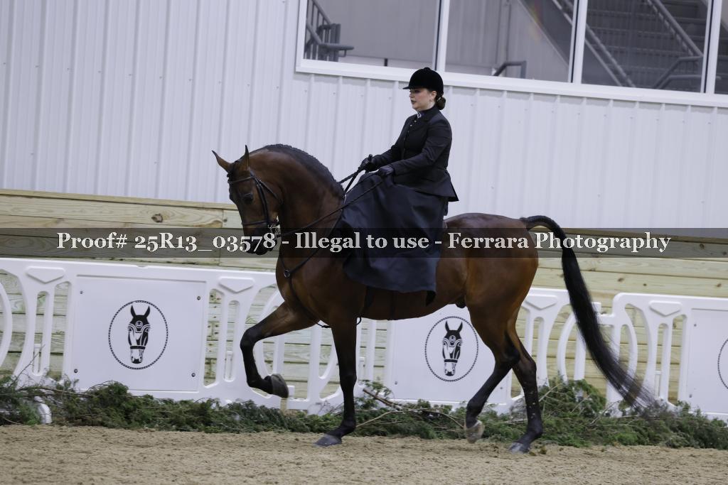 Proof Number 25R13_03578