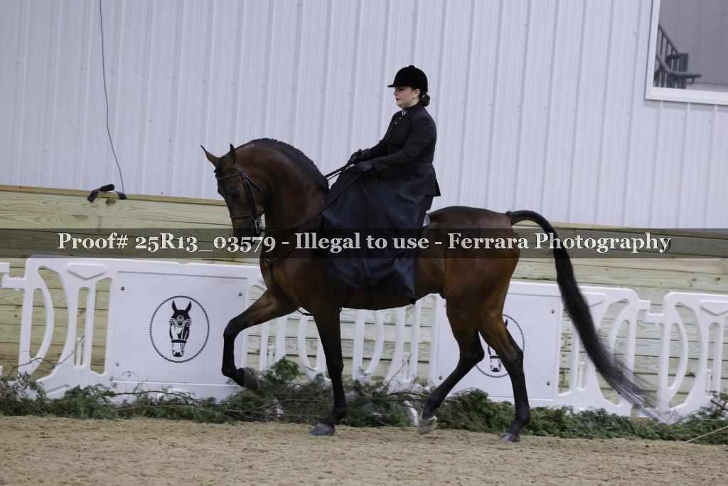 Proof Number 25R13_03579