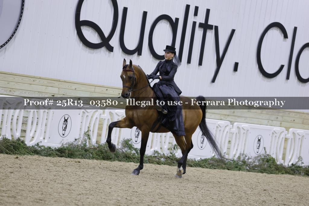 Proof Number 25R13_03580