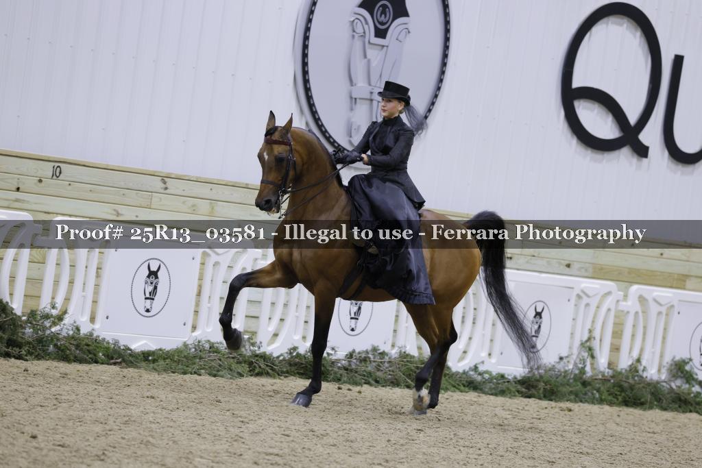 Proof Number 25R13_03581