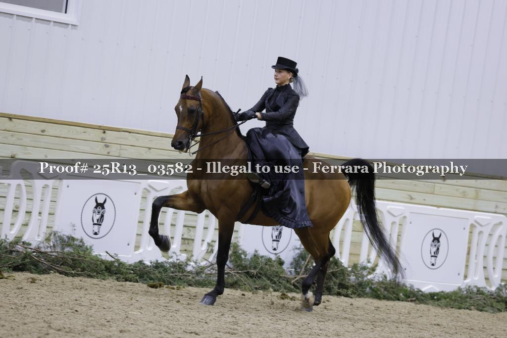 Proof Number 25R13_03582