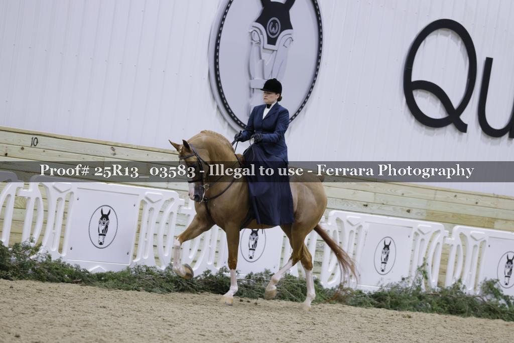 Proof Number 25R13_03583