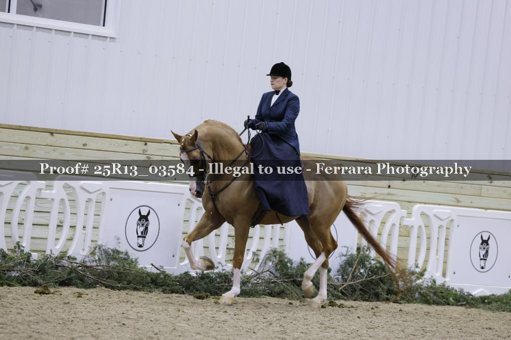 Proof Number 25R13_03584