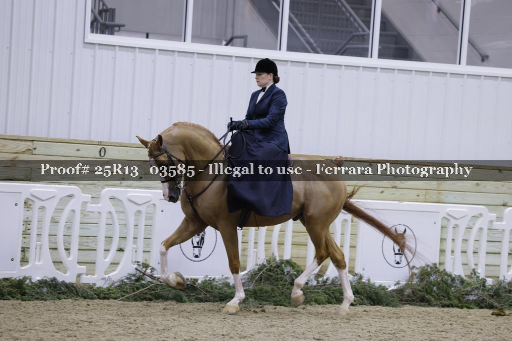 Proof Number 25R13_03585