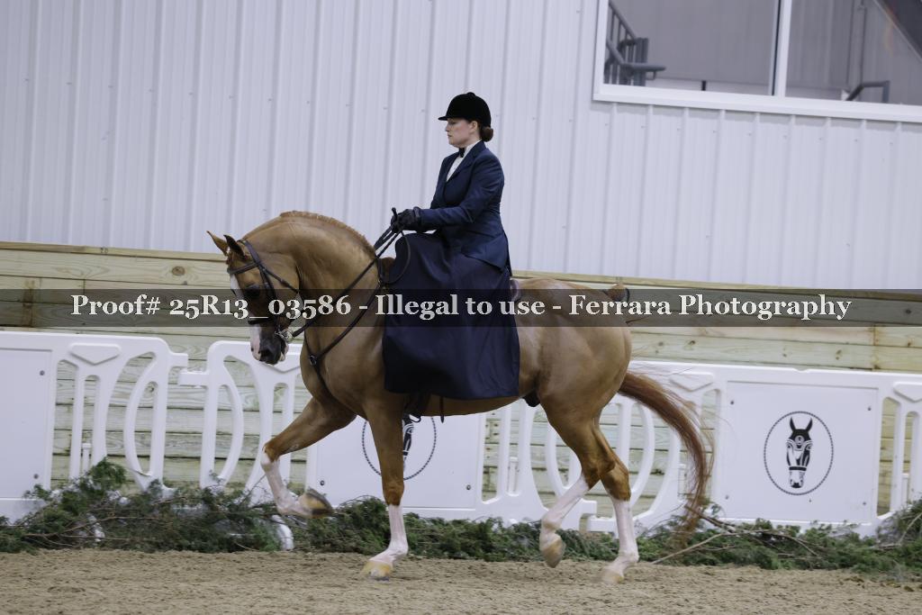 Proof Number 25R13_03586