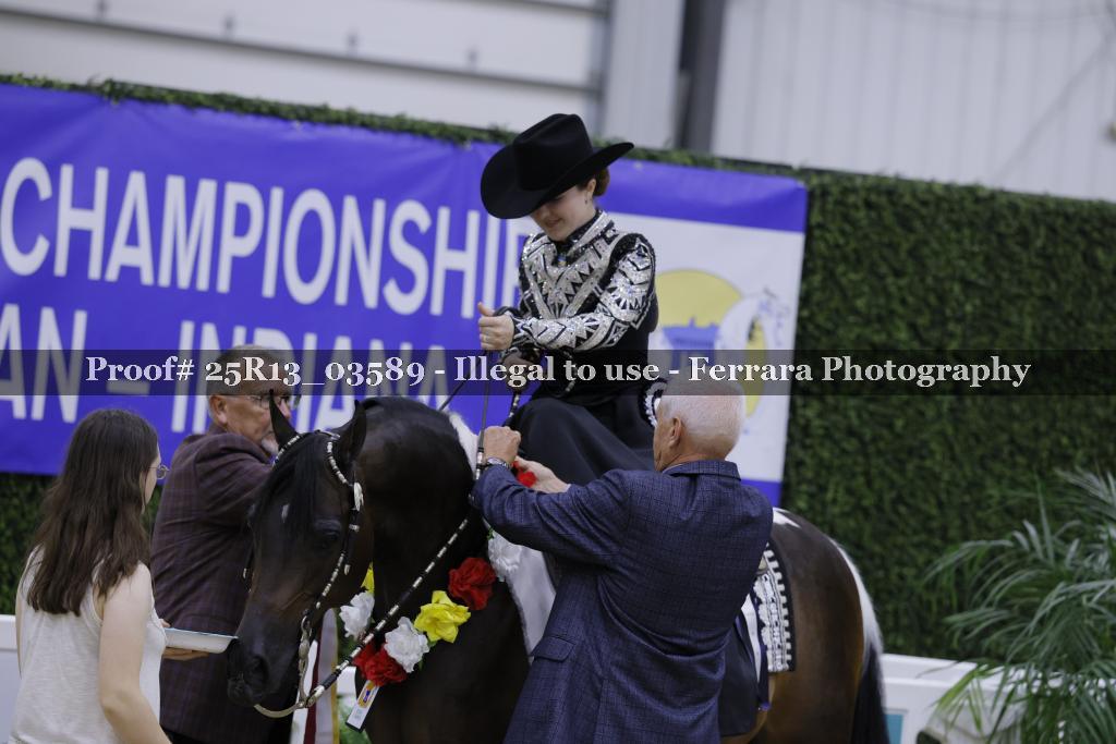 Proof Number 25R13_03589