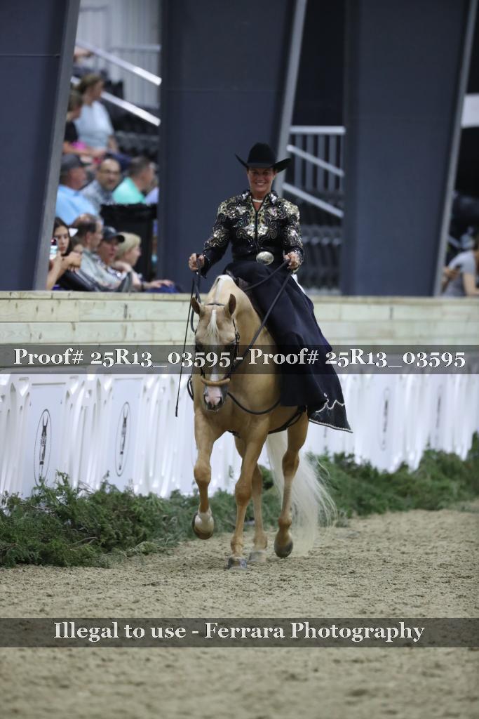Proof Number 25R13_03595