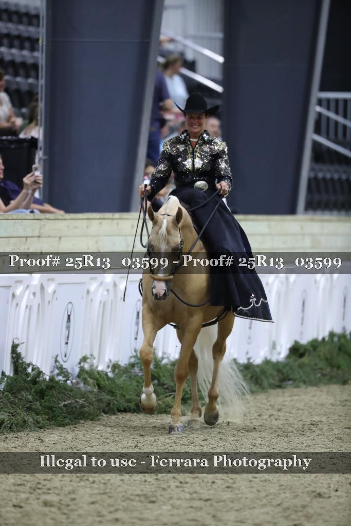 Proof Number 25R13_03599