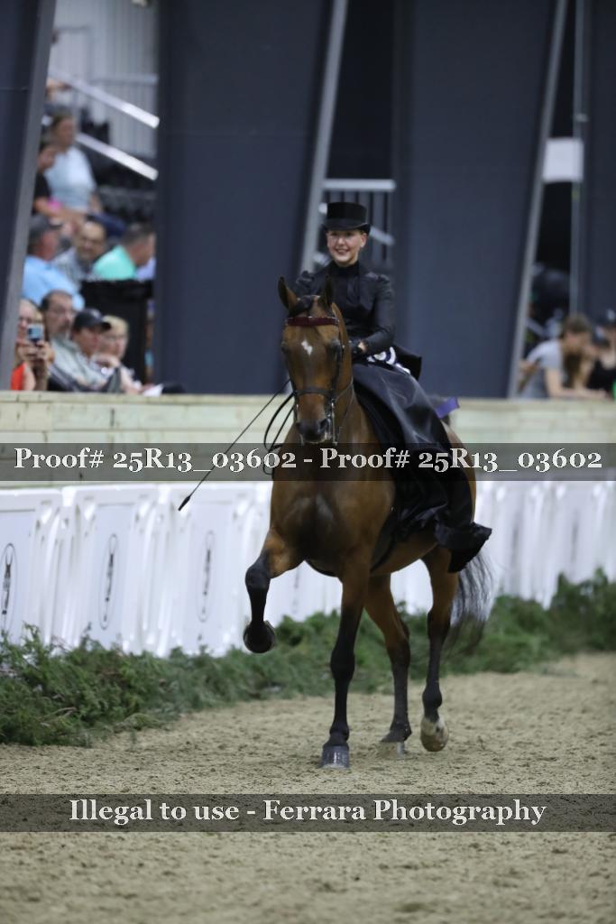 Proof Number 25R13_03602