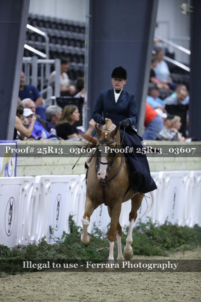 Proof Number 25R13_03607