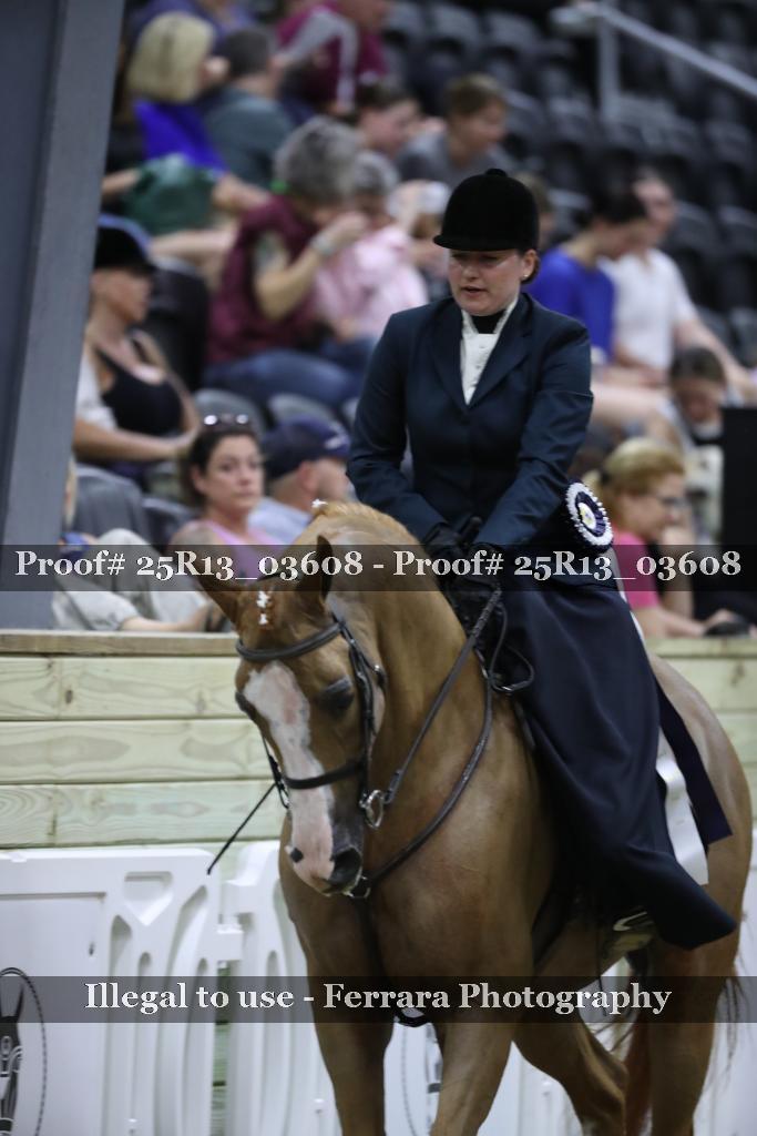 Proof Number 25R13_03608