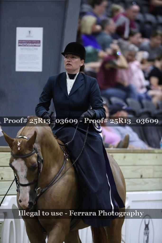 Proof Number 25R13_03609
