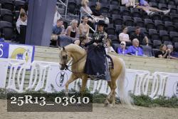 25R13_03610 thumbnail