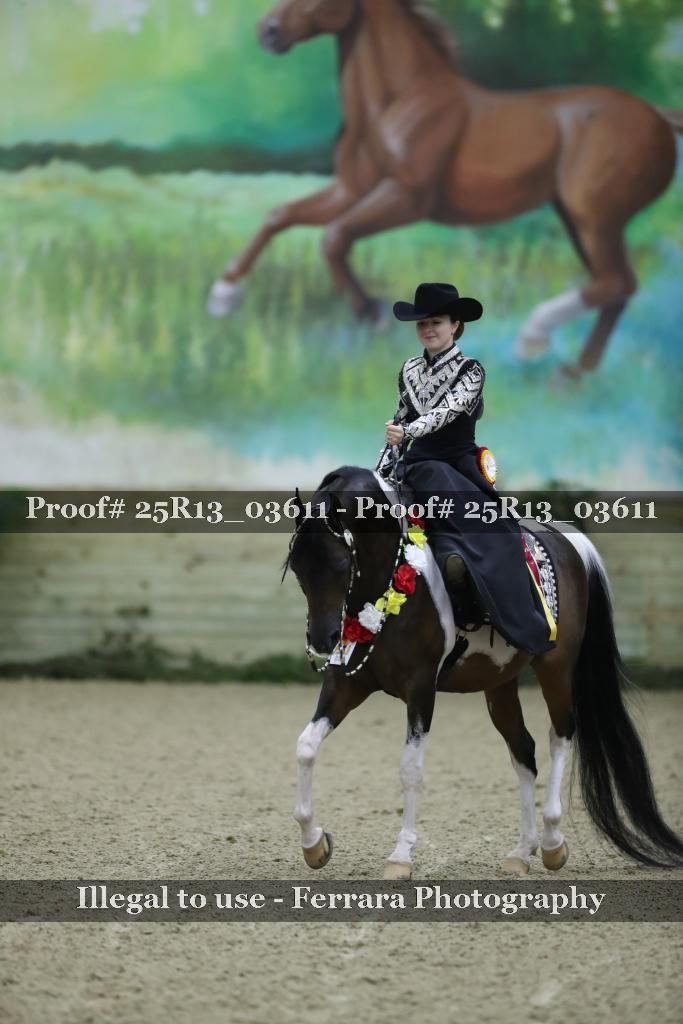 Proof Number 25R13_03611