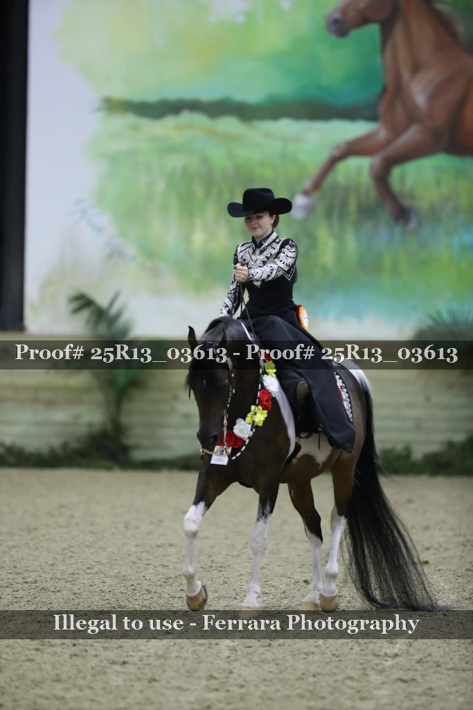 Proof Number 25R13_03613