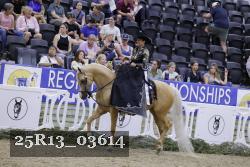 25R13_03614 thumbnail