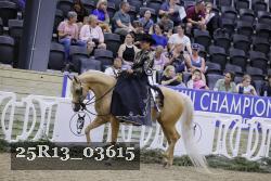 25R13_03615 thumbnail