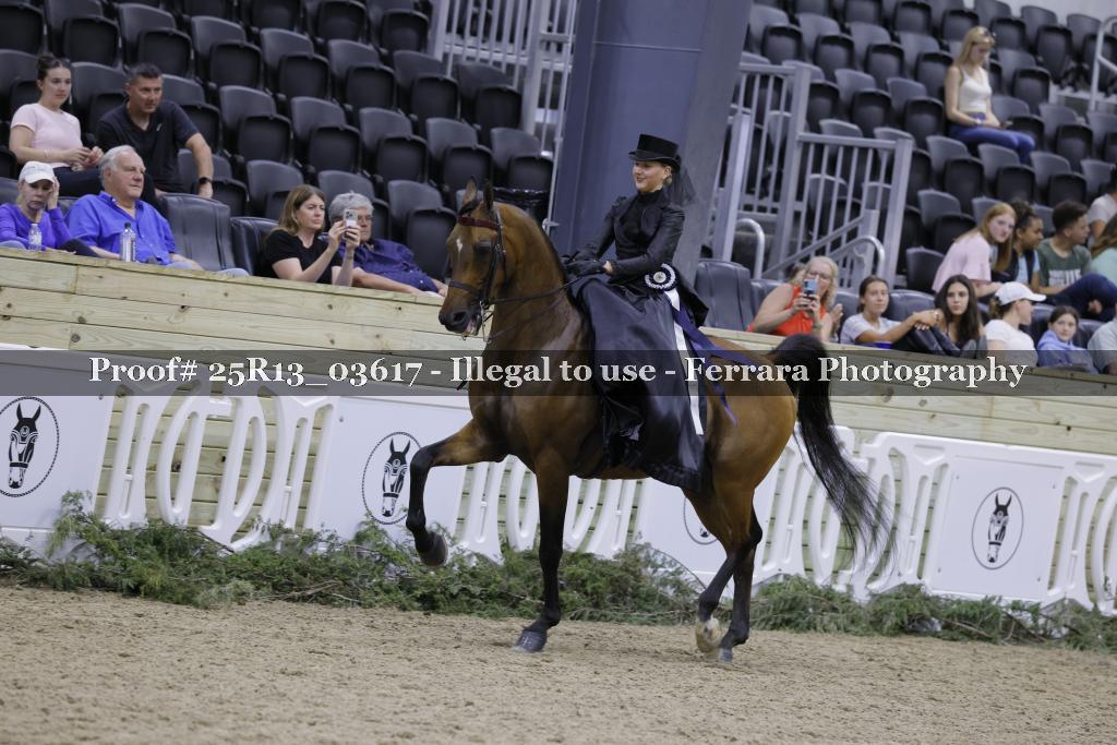 Proof Number 25R13_03617