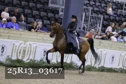 25R13_03617 thumbnail