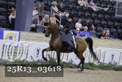 25R13_03618 thumbnail