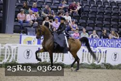 25R13_03620 thumbnail
