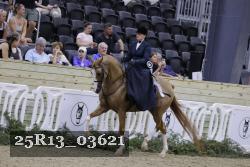 25R13_03621 thumbnail