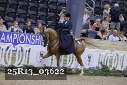 25R13_03622 thumbnail