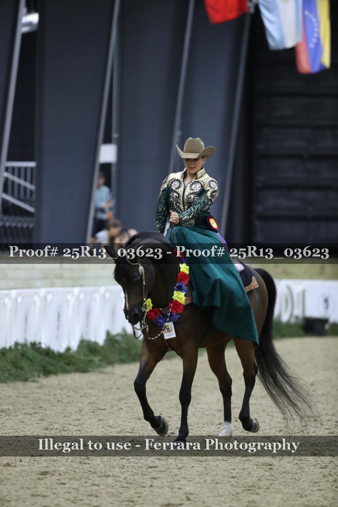 Proof Number 25R13_03623