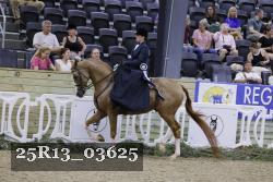 25R13_03625 thumbnail