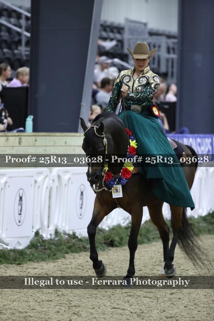Proof Number 25R13_03628