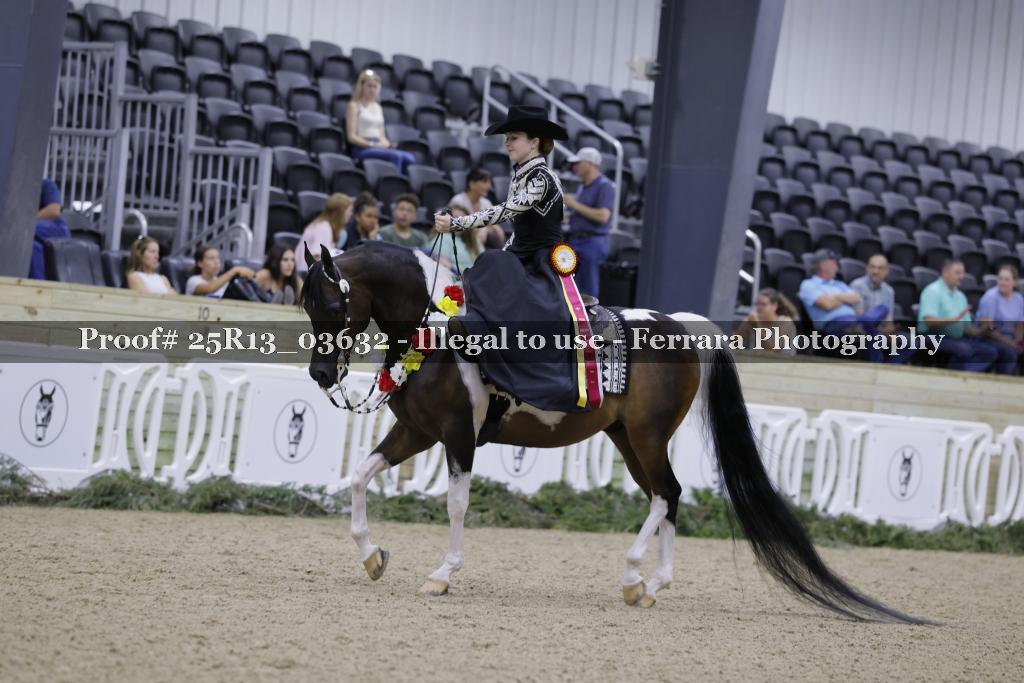 Proof Number 25R13_03632