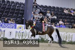 25R13_03634 thumbnail